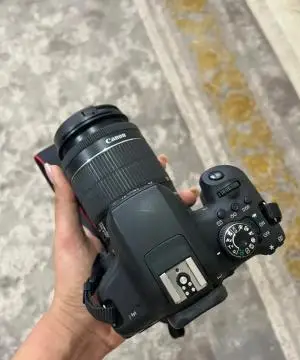 stock