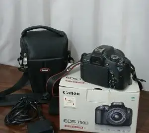 stock