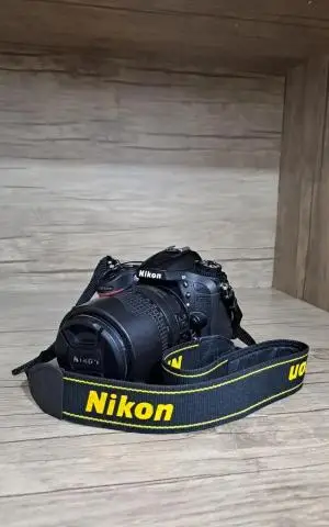 stock