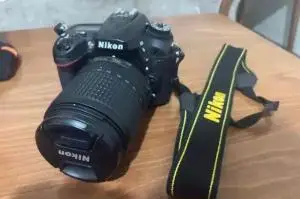 stock