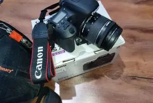 stock