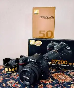 stock