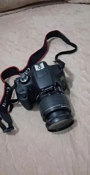 stock