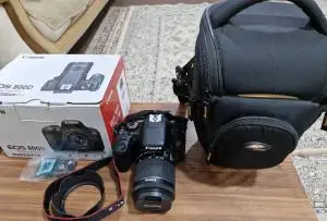 stock