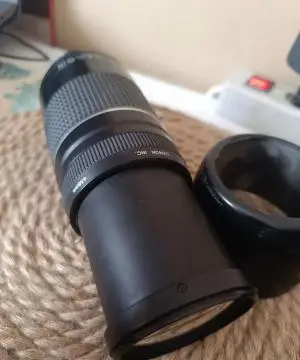 stock