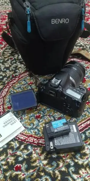 stock