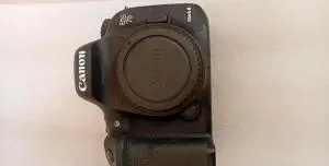 stock
