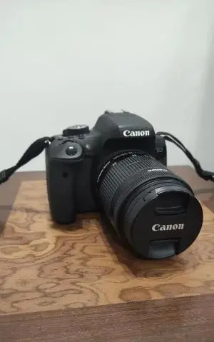 stock