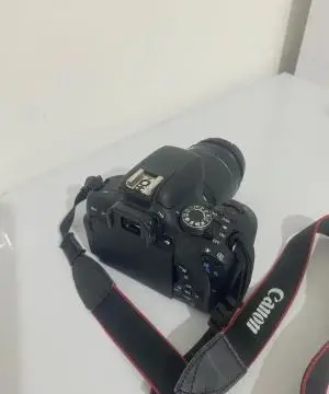 stock
