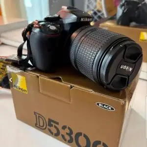 stock