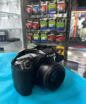 stock