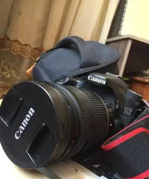 stock