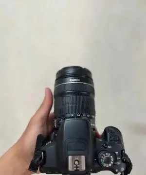 stock