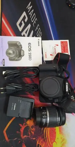 stock