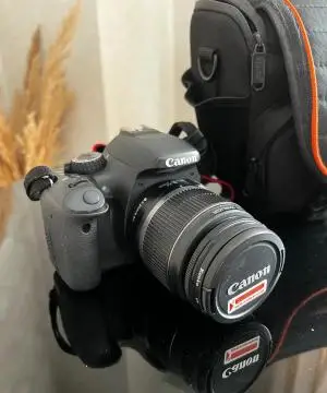 stock
