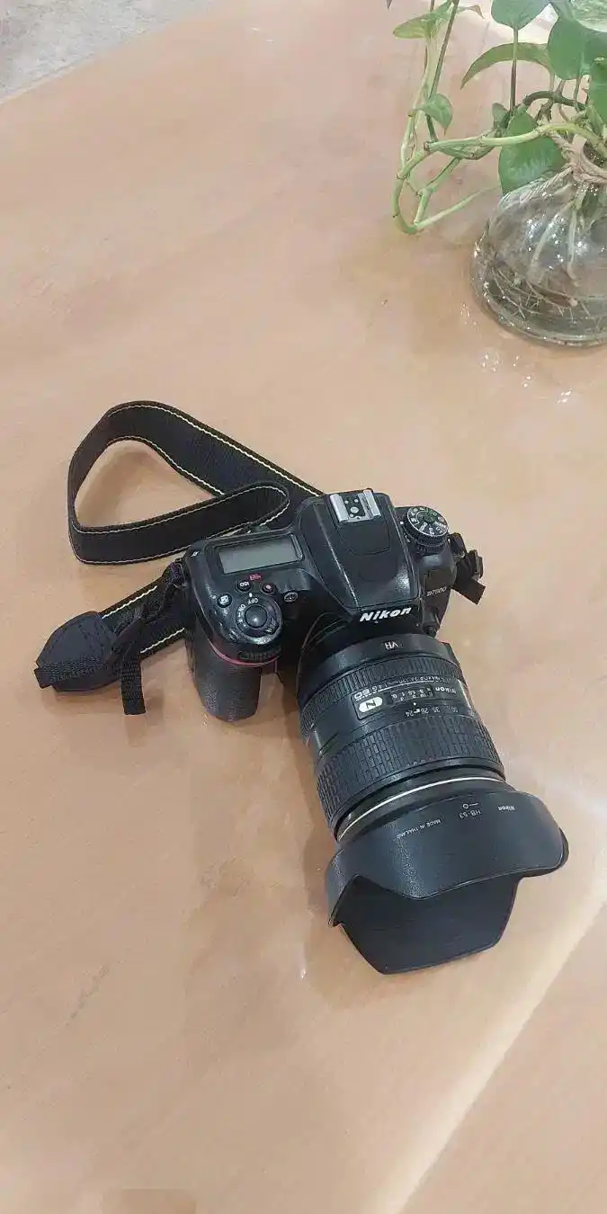 دوربین عکاسی D7500 با لنز 120 24  G4 دست دو