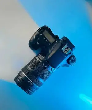 stock