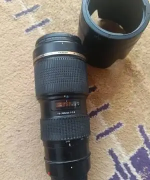 stock