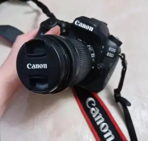 stock