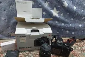 stock
