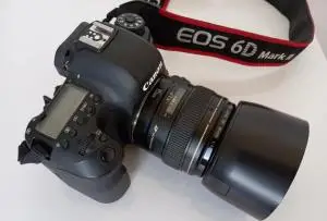 stock