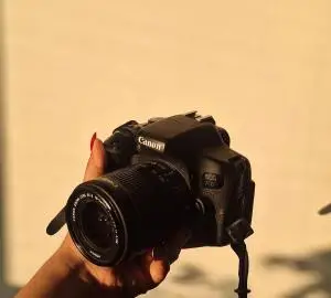stock