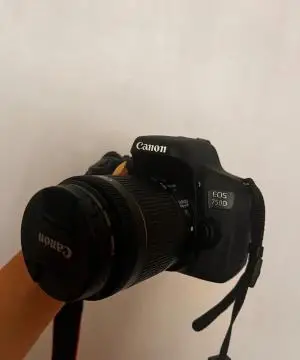 stock