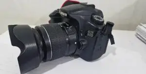 stock