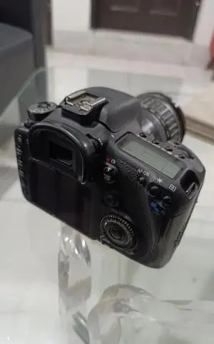 stock
