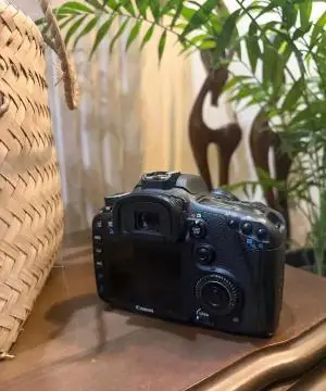 stock
