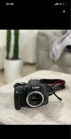 stock