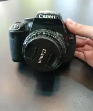 stock