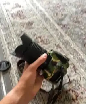 stock
