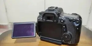 stock