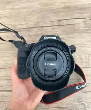 stock