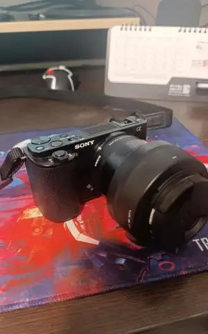 stock