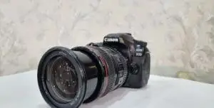 stock