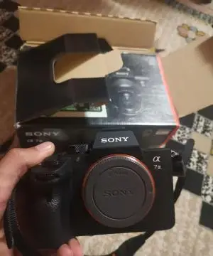 stock