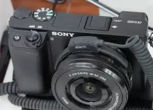stock