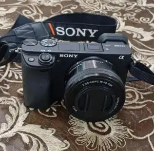 stock