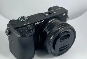 stock