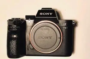 stock