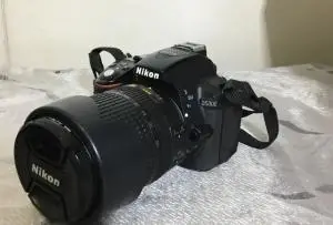 stock