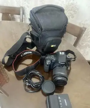stock