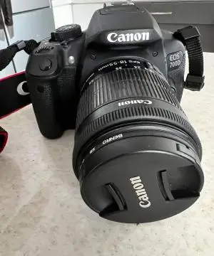 stock