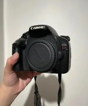 stock