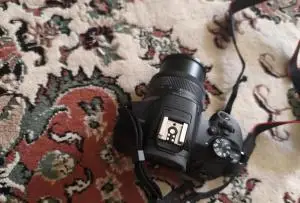 stock
