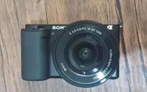 stock