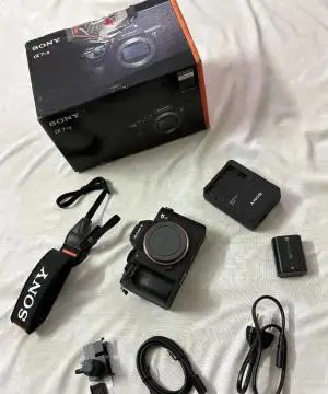 stock