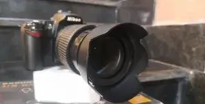 stock